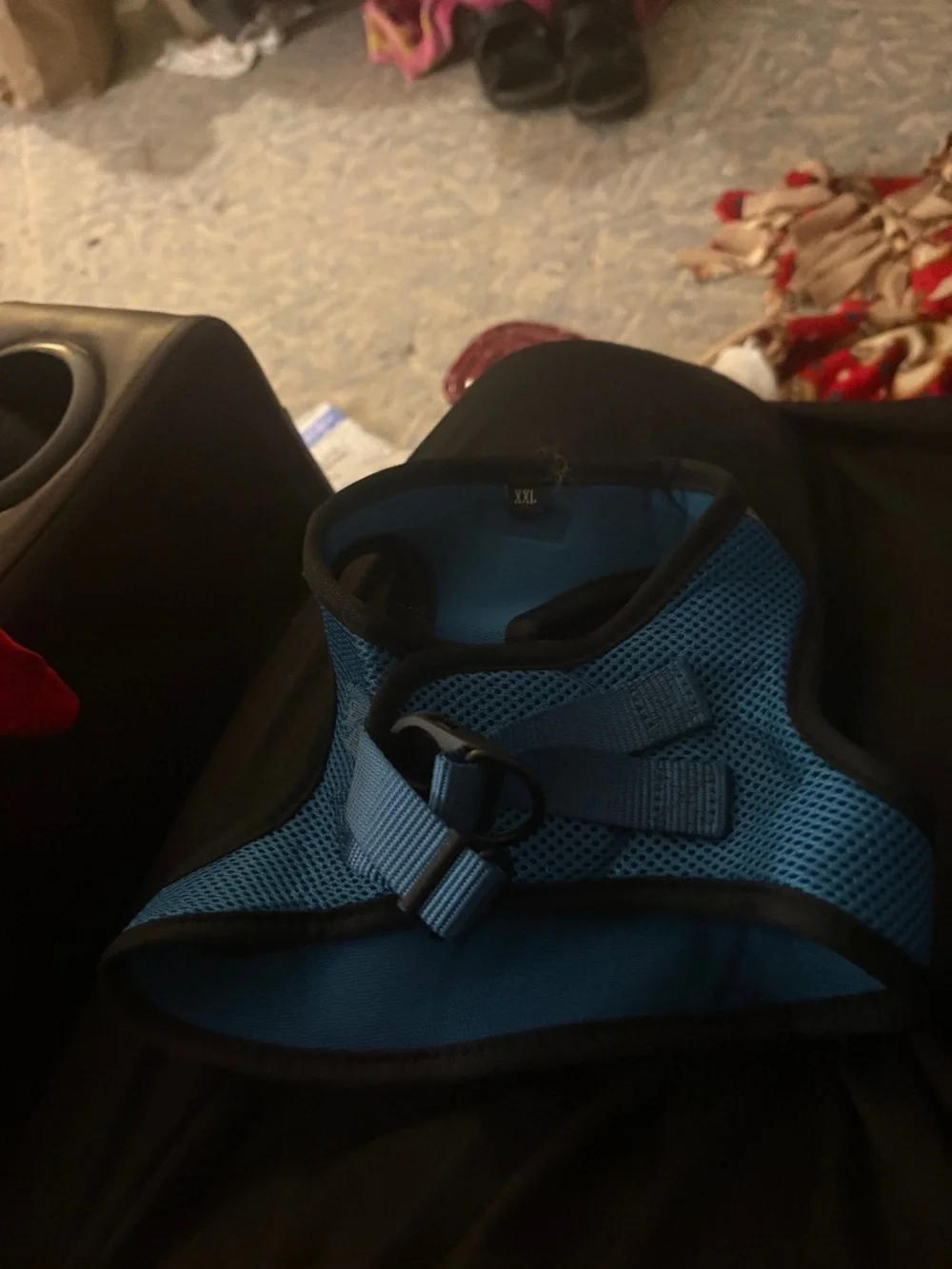 XXL cat harness